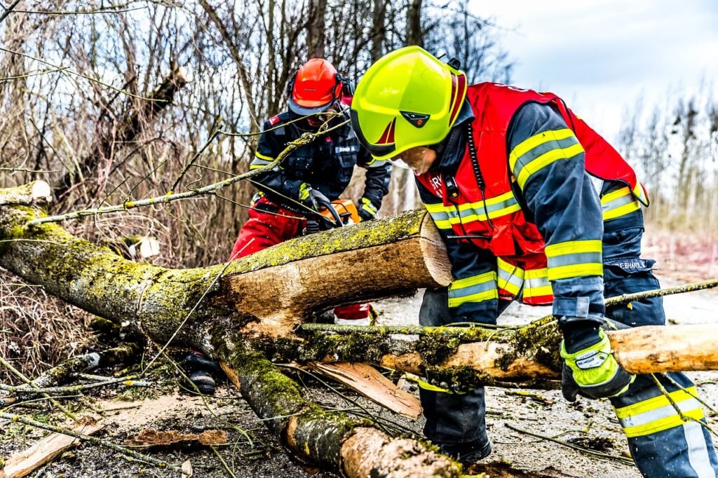 Sturm Beseitigung Dormagen